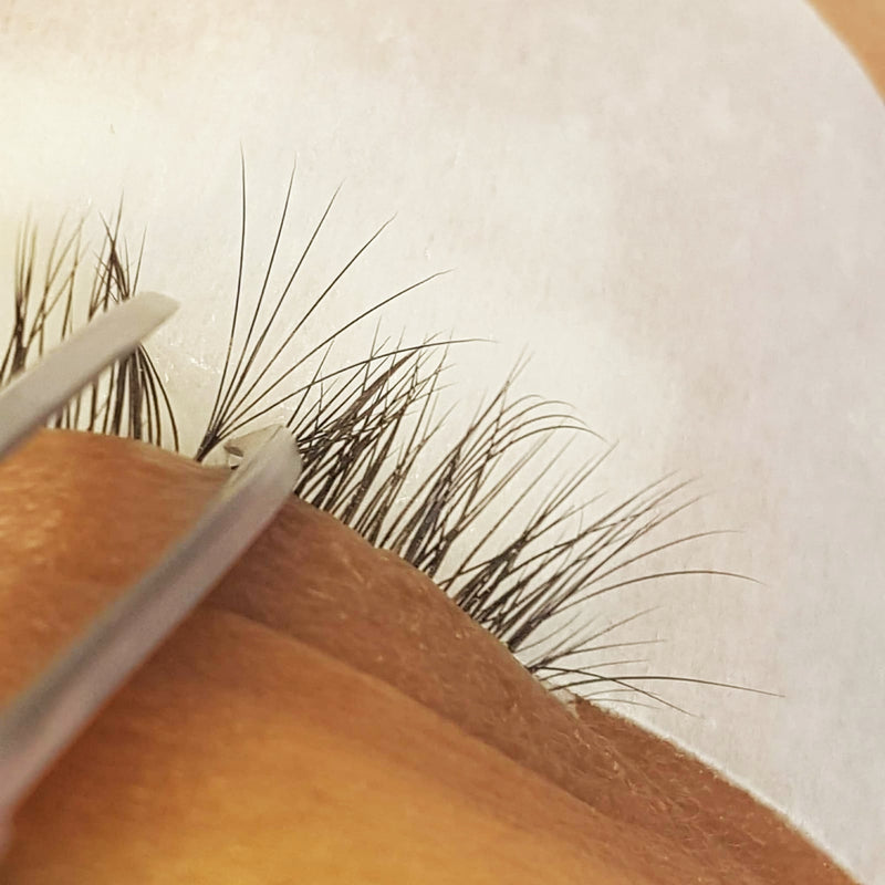 Questions To Ask Your Eyelash Extension Training Co